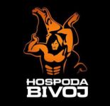 Hospoda Bivoj